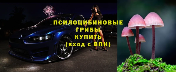 прущие грибы Майский