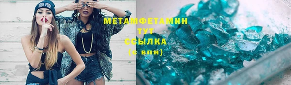 прущие грибы Майский
