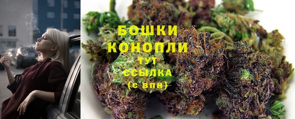 прущие грибы Майский